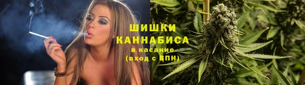 индика Лагань