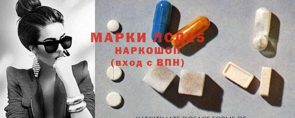 индика Лагань
