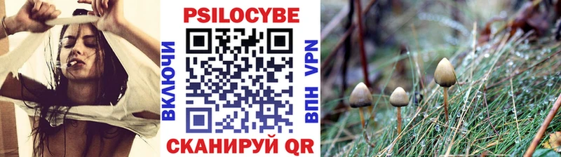 Псилоцибиновые грибы прущие грибы  Лаишево 